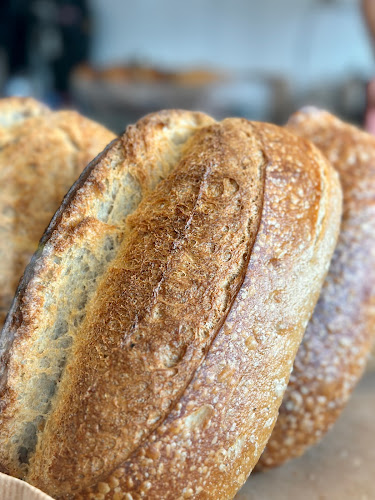 Opinii despre Samverket Håndverksbakeri în Moss - Gastronomi og hotellvirksomhet