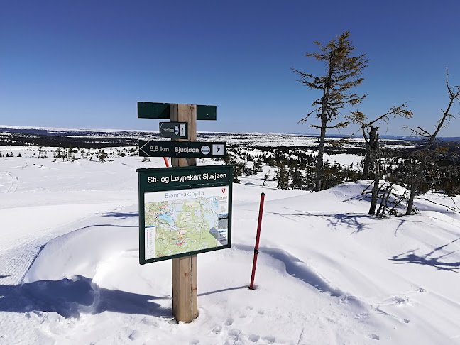 Comentarii opinii despre Brannhytta på Natrudstilen