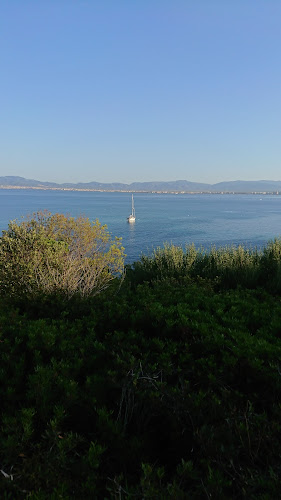 Comentarii opinii despre Havnechefen Møkster Restaurant