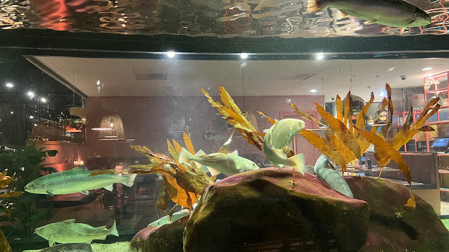 Rå Sushi & Bar - Gastronomi og hotellvirksomhet