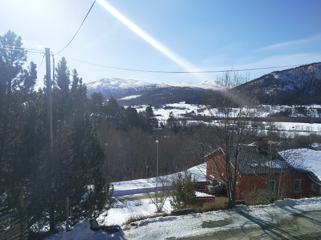 Steia 10, 2560 Alvdal