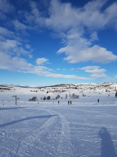 Opinii despre Vierli Kafeteria în Rauland - Gastronomi og hotellvirksomhet