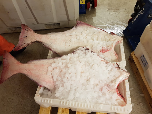 Arendal Fiskemottak AS - Arendal