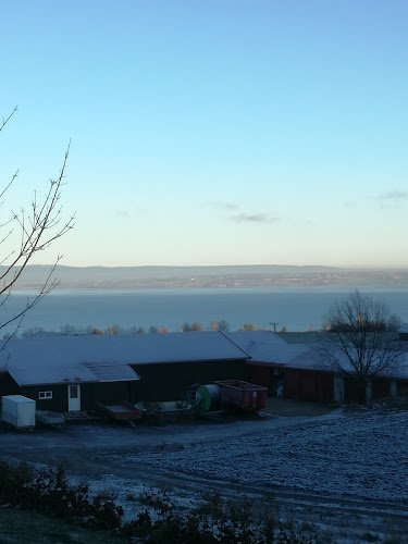 Opinii despre Støvinds catering în Skreia - Gastronomi og hotellvirksomhet