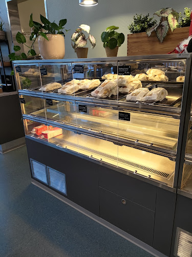 Comentarii opinii despre SSN Kafé Studenten | Kantine | Bø