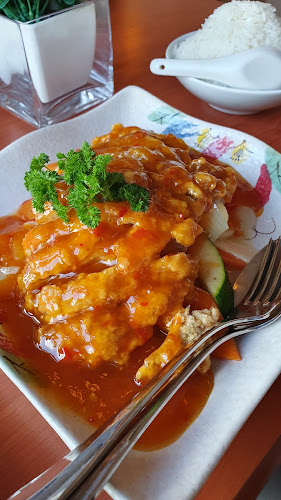 Comentarii opinii despre Hong Kong Garden