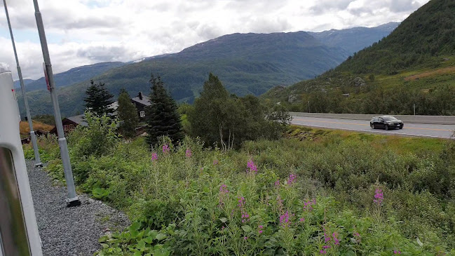 Røldalterrassen - Røldal