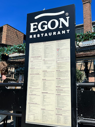 Comentarii opinii despre Egon