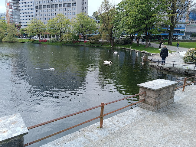 Alexander Pub - Gastronomi og hotellvirksomhet