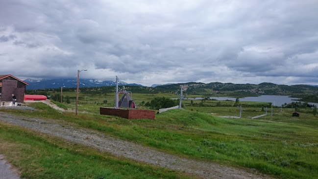 Vierli Kafeteria - Gastronomi og hotellvirksomhet