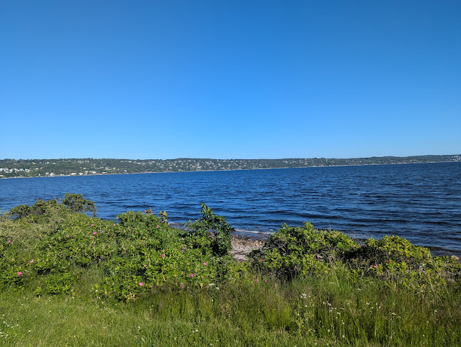 Freyborgstua - Sætre