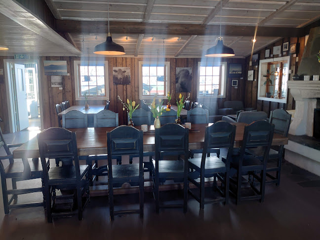 Comentarii opinii despre Syndinstøga