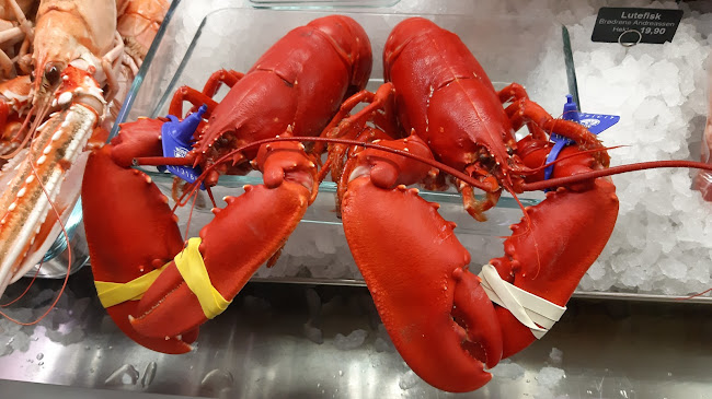 Opinii despre Matkrok`n Delikatesse & catering AS în Geilo - Gastronomi og hotellvirksomhet