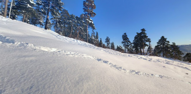 Opinii despre Spiralen cafe og restaurant AS în Drammen - Gastronomi og hotellvirksomhet
