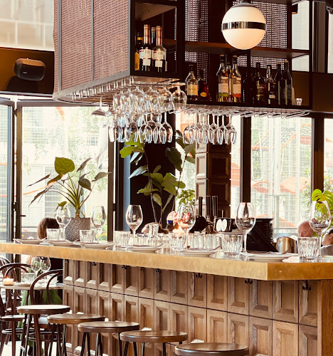 Comentarii opinii despre The Vandelay