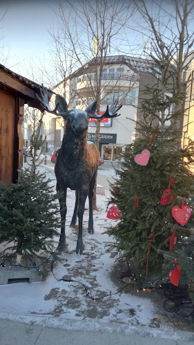 Opinii despre Mølla Cafe og Catering AS în Brumunddal - Gastronomi og hotellvirksomhet