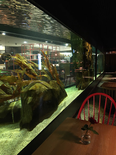 Rå Sushi & Bar - Tromsø