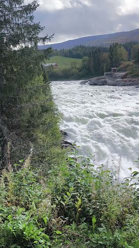 Comentarii opinii despre Laksforsen Turistcafe