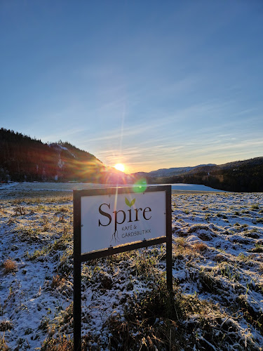 Dype Røtter - Kafé Spire