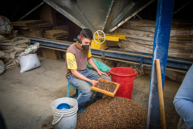 Comentarii opinii despre Carlos Coffee