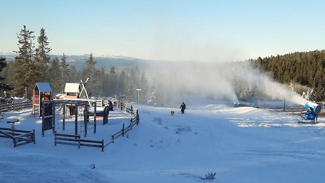 Lunnstadmyrvegen 250, 2636 Øyer