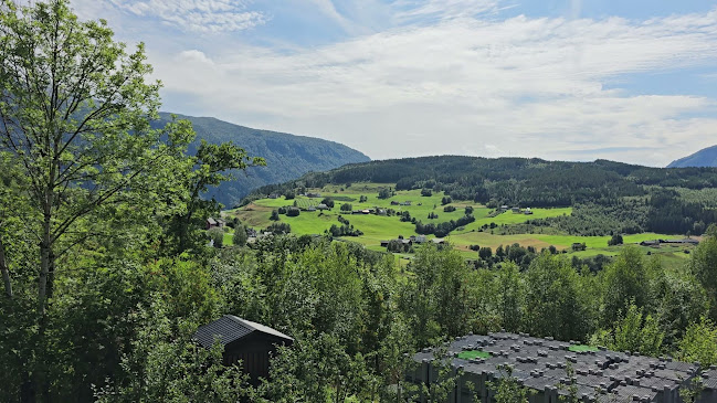 Molo Brew - Gastronomi og hotellvirksomhet