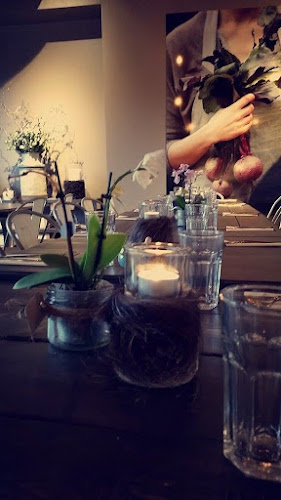 Comentarii opinii despre icookkitchen