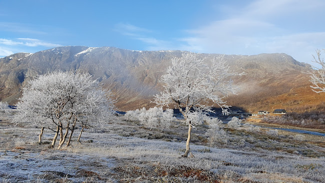 Opinii despre Brygg în Oslo - Gastronomi og hotellvirksomhet