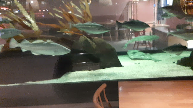 Rå Sushi & Bar - Tromsø