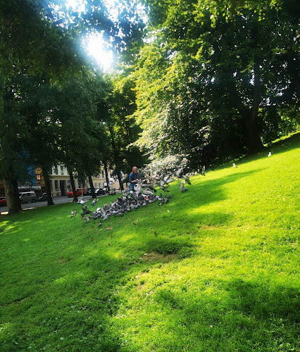 Opinii despre Stensparken Cafe în Oslo - Gastronomi og hotellvirksomhet