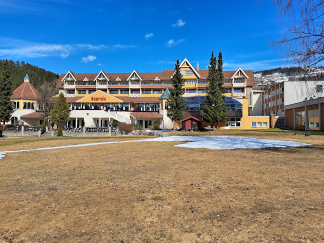 Fagernes cafe og Kinarestaurant Shan Shao Rong