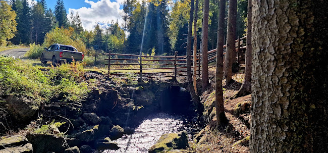 Kjoseveien 1025, 3268 Larvik