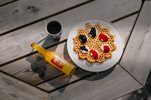 Opinii despre Syndinstøga în Ryfoss - Gastronomi og hotellvirksomhet