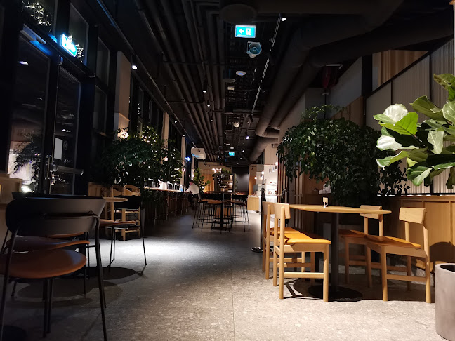 Comentarii opinii despre W.B. Samson - Hasle