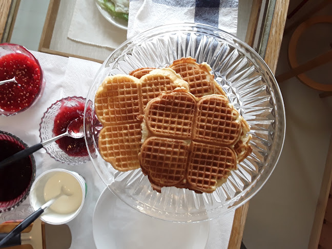 Fjellstova på Rørvikfjellet - Gastronomi og hotellvirksomhet