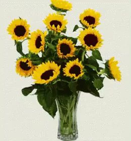 Godt Brød Fløyen - Gastronomi og hotellvirksomhet