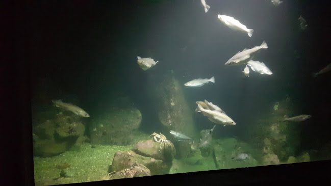 Opinii despre Siam Ratree în Bergen - Gastronomi og hotellvirksomhet