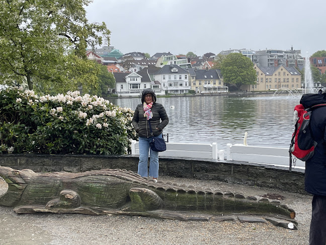 Comentarii opinii despre Kafe Breiavatnet