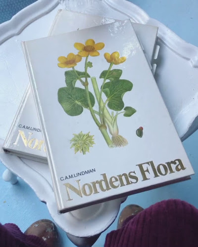 Ostara Restaurant & Bar - Gastronomi og hotellvirksomhet