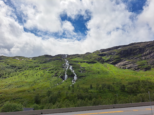 Comentarii opinii despre Røldalterrassen