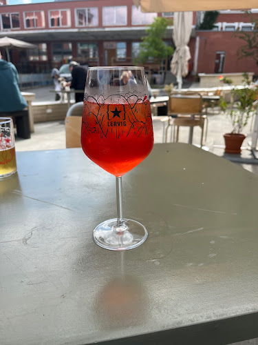 Comentarii opinii despre Øst