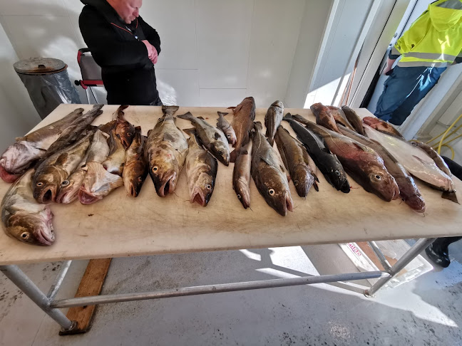 Oscarbrygga - Gastronomi og hotellvirksomhet