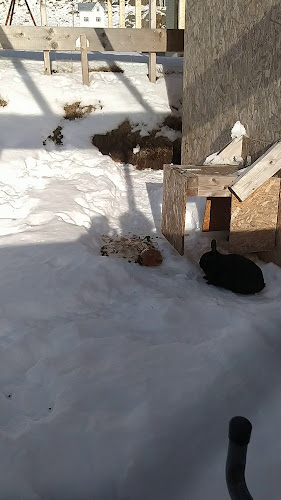 Holmvik Brygge Nyksund