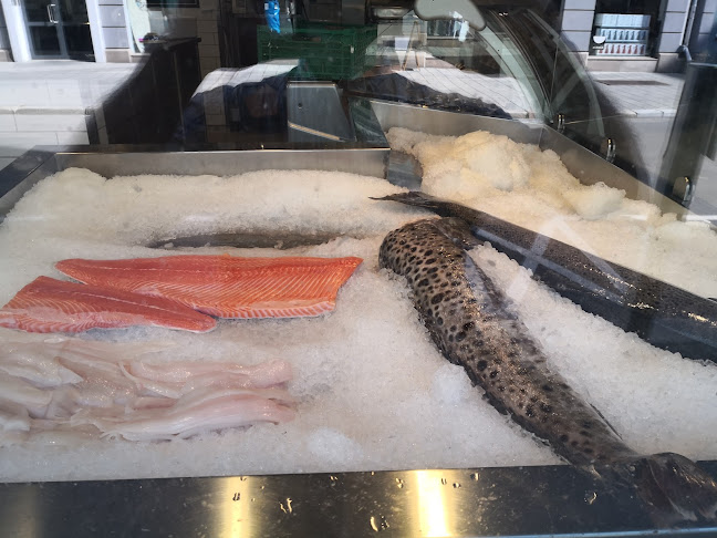 Comentarii opinii despre Georg A. Nilsen