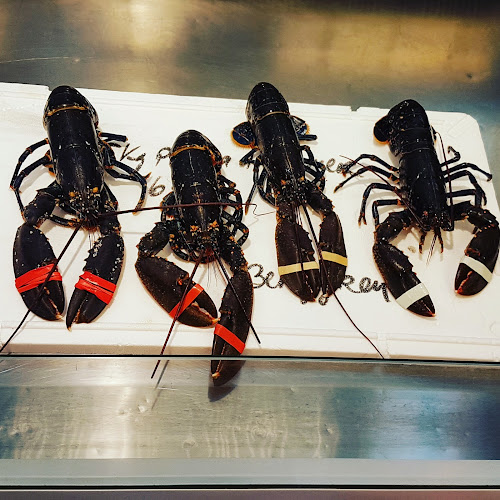 Brygga 11, 3210 Sandefjord