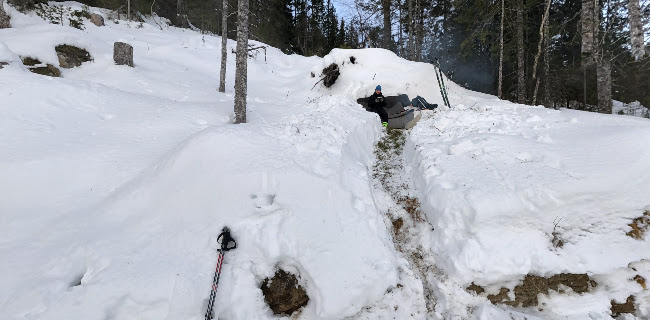 Grønlia - Trondheim