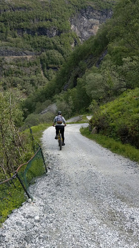 Rallarrosa Stølsysteri - Gastronomi og hotellvirksomhet
