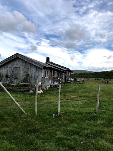 Opinii despre Elgsjømoen Seter în Ålen - Gastronomi og hotellvirksomhet