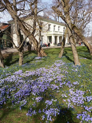 Comentarii opinii despre Nedlagte Alby Kafe F15