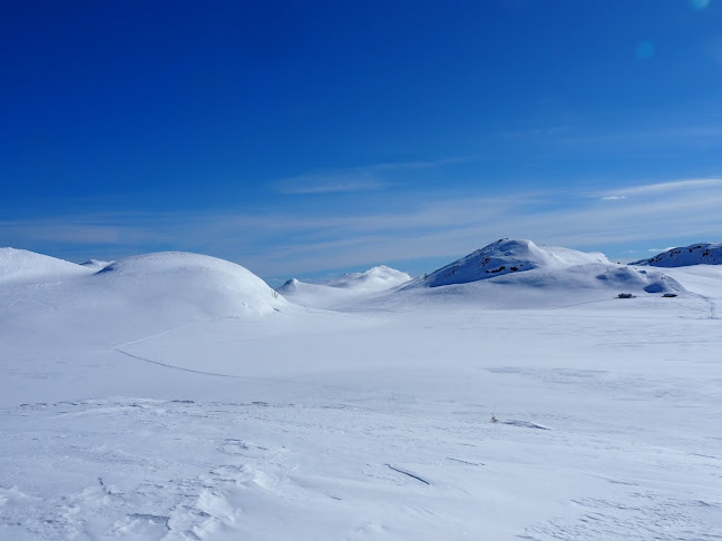 Vierli Kafeteria - Rauland
